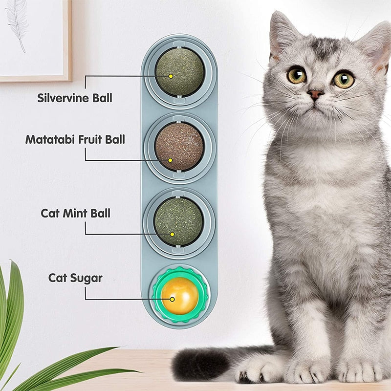 Catnip Wall Ball Toys for Cats