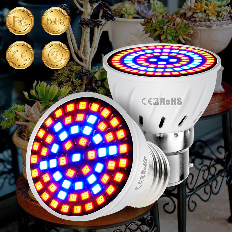 Phyto Led B22 Hydroponic Growth Ligh