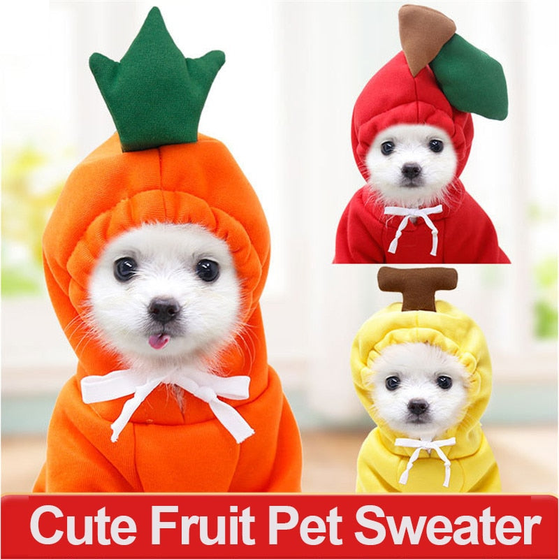 Pet Dog Cute Fruit Hoodies