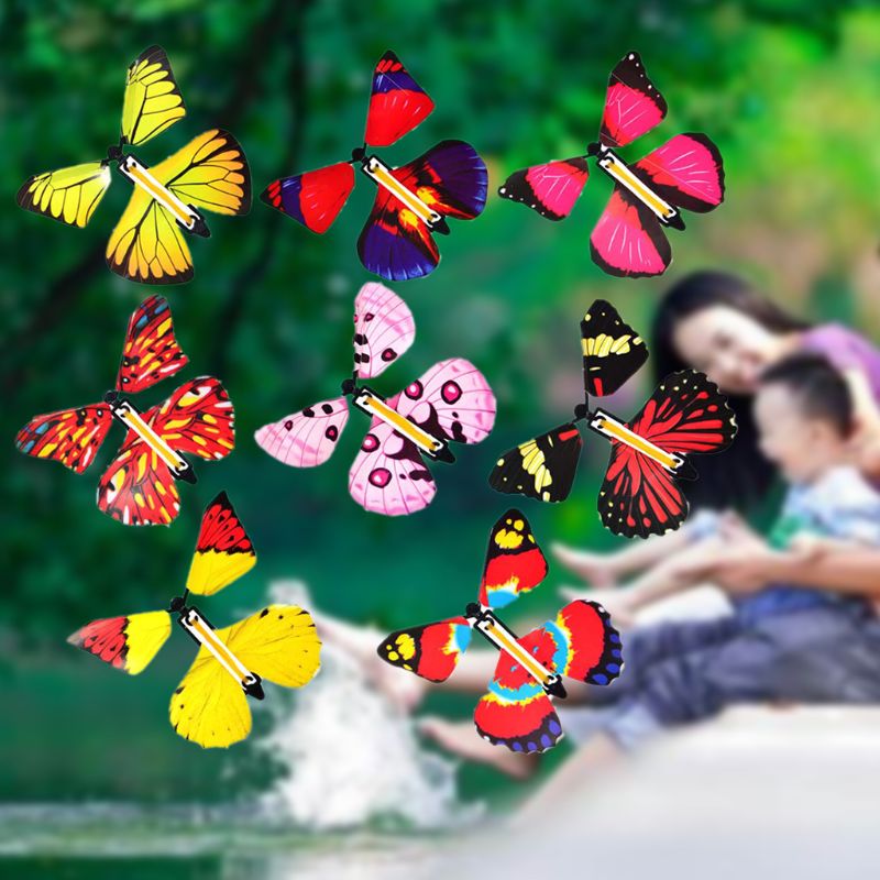 Surprise Butterfly Gift
