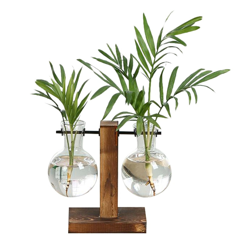 Terrarium Plant Vase