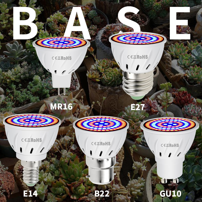 Phyto Led B22 Hydroponic Growth Ligh
