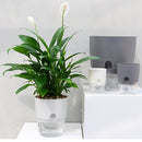 Self-Watering 2-Layer Plant Pot