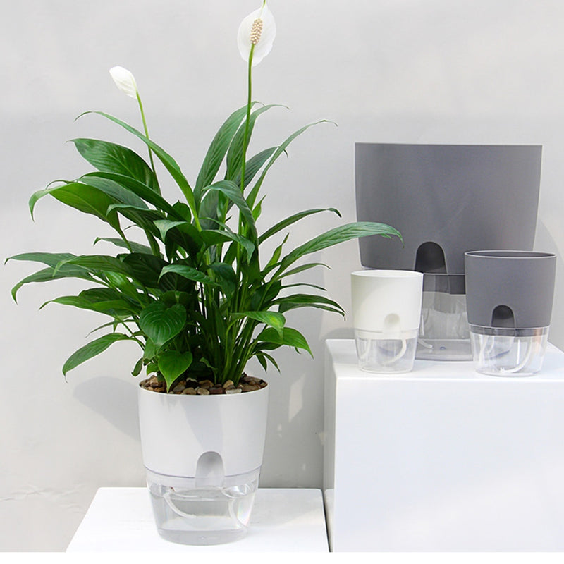 Self-Watering 2-Layer Plant Pot