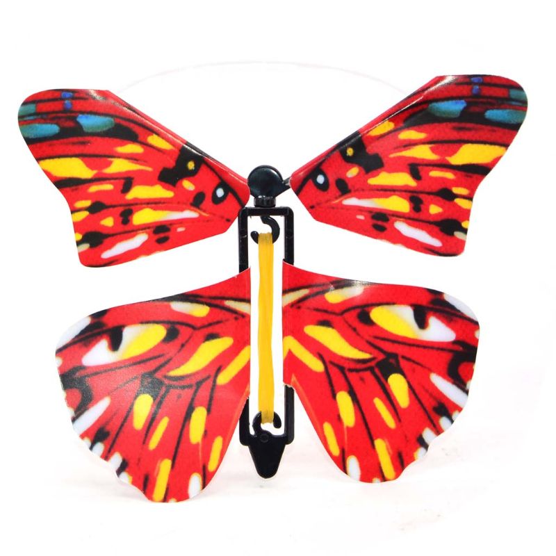 Surprise Butterfly Gift