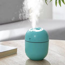 Mini Ultrasonic Air Humidifier