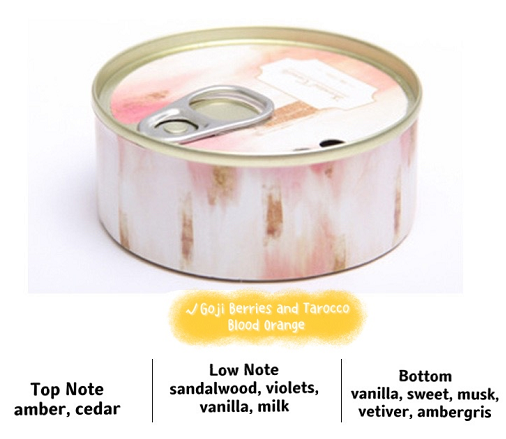Creative Scented Canned Candle