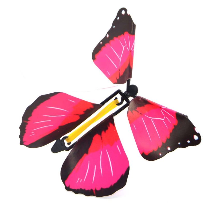 Surprise Butterfly Gift