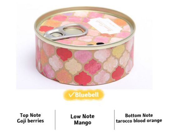 Creative Scented Canned Candle