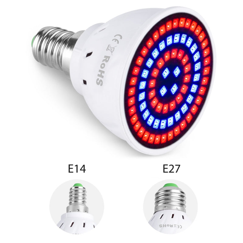 Phyto Led B22 Hydroponic Growth Ligh