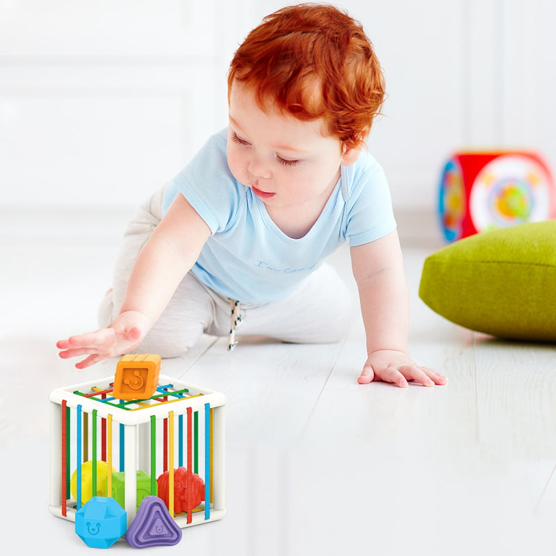 Baby Blocks Shape Sorter & Color Recognition Toy