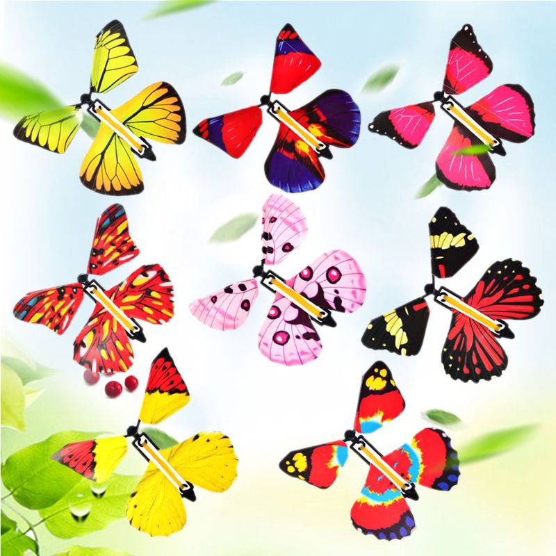 Surprise Butterfly Gift
