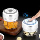 Mini Electric Food Crusher (100ml)
