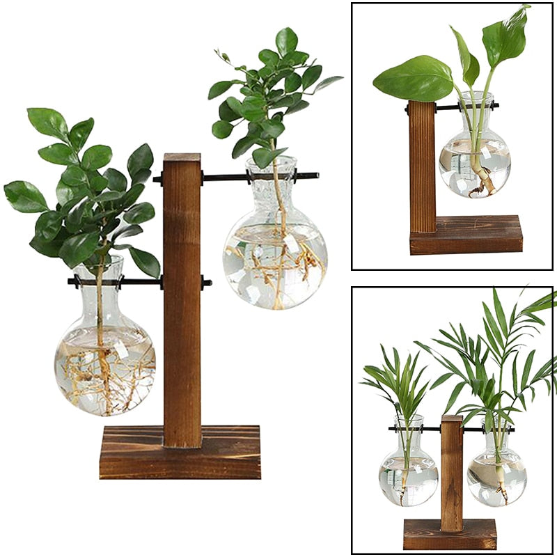 Terrarium Plant Vase