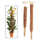 Plant Climbing Coconut Totem Pole