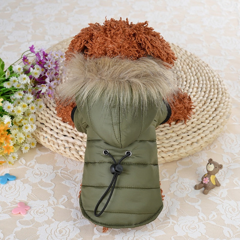 Fashionable Hooded Pet Jacket