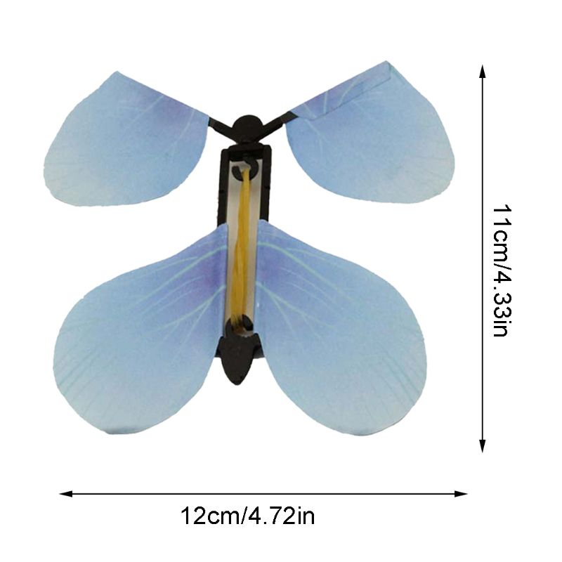 Surprise Butterfly Gift