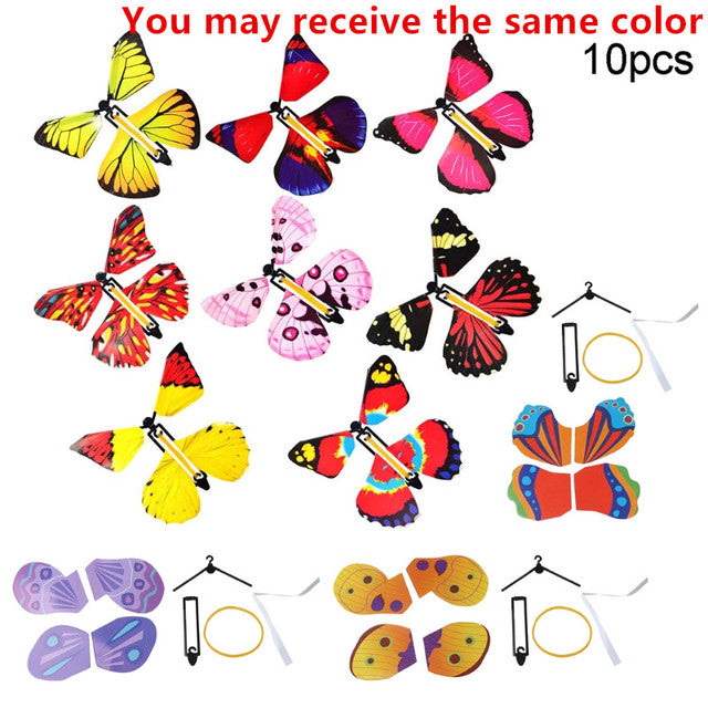 Surprise Butterfly Gift
